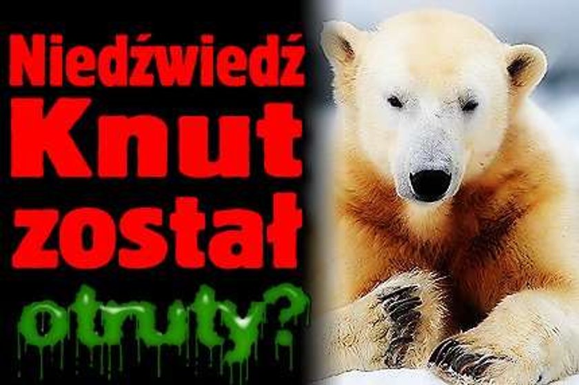 Knut został otruty?