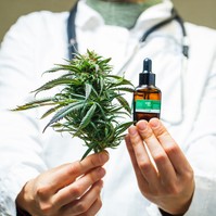Orvosi kannabisz: milyen betegségekre lehet jó? A szakgyógyszerész válaszol