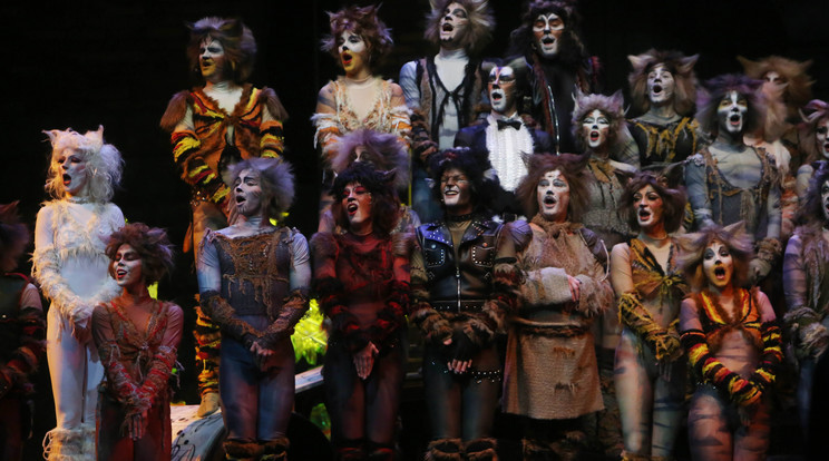A Macskák című darabot több mint 38 éve játssza a Madách Színház /Fotó: RAS-Archívum