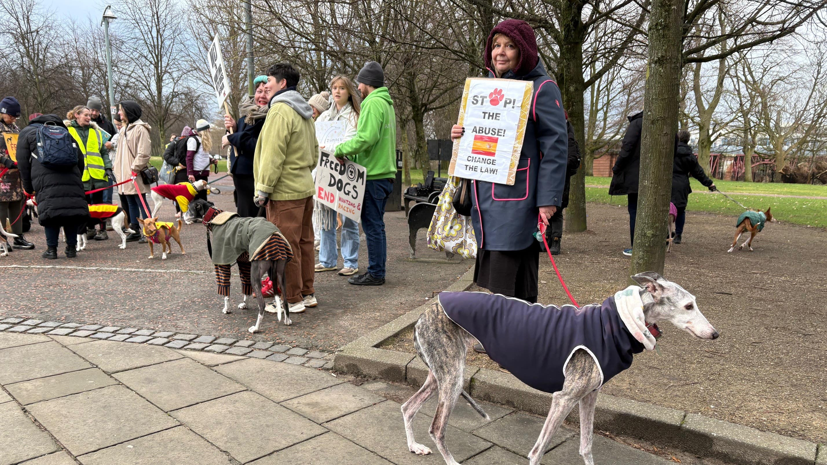 Up to 100,000 Spanish hunting dogs classified as 'tools' face death or abandonment tomorrow