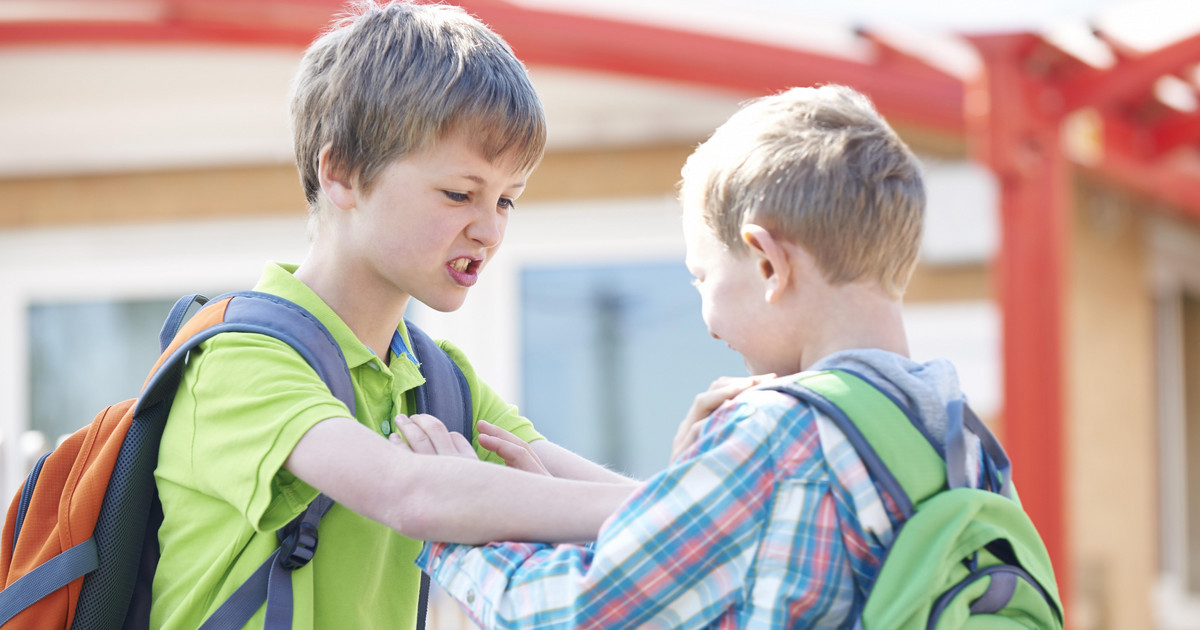 Factores Que Influyen En La Agresividad De Los Niños