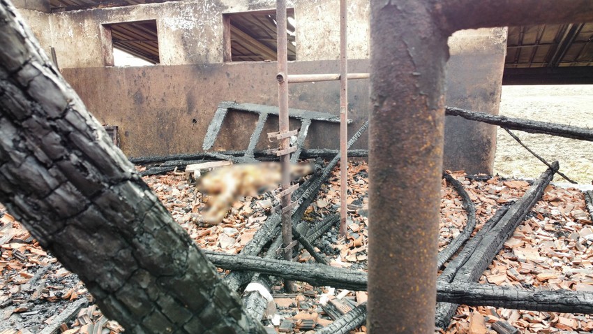 Potresne slike požara