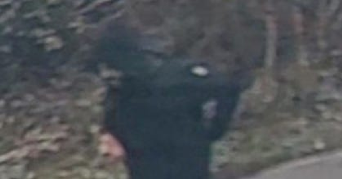 Police hunt suspects who fled after man, 80s, carried 1.5 miles on car