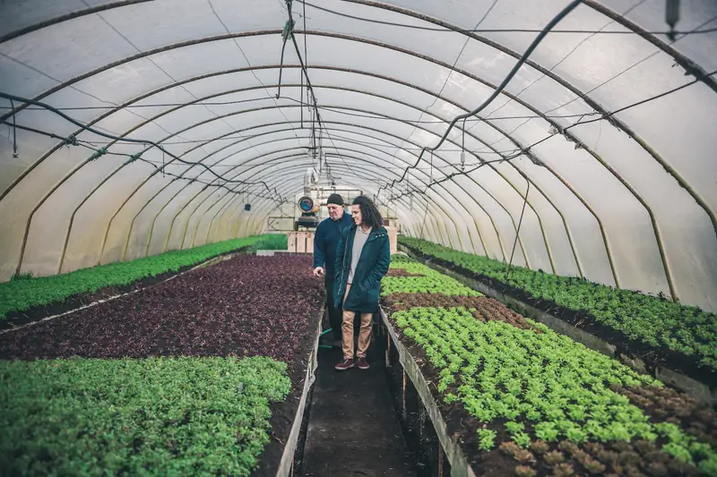 Ekipa MakeGrowLab chce, żeby rolnicy wytwarzali ekologiczne opakowania przy użyciu technologii SCOBY