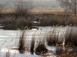 Tragedia w Poznaniu. Pod dziećmi załamał się lód