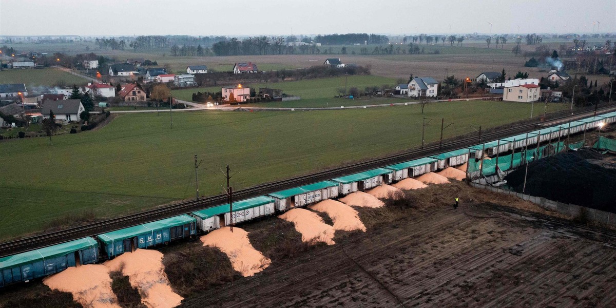 Wysypane zboże w Kotomierzu koło Bydgoszczy.