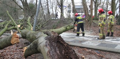 "Unikaj otwartych przestrzeni. Zabezpiecz rzeczy". Uruchomiono alert RCB