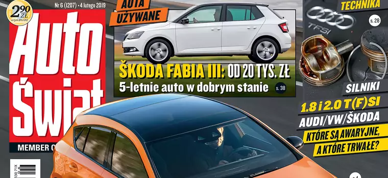 Oferta samochodów elektrycznych będzie coraz bogatsza - Auto Świat 6/2019