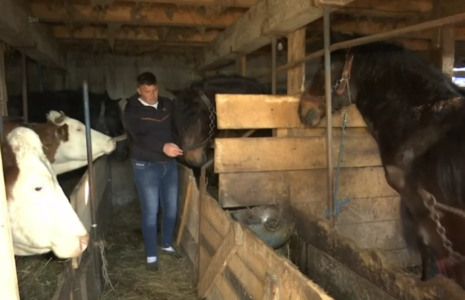 Porodica Bogdanović