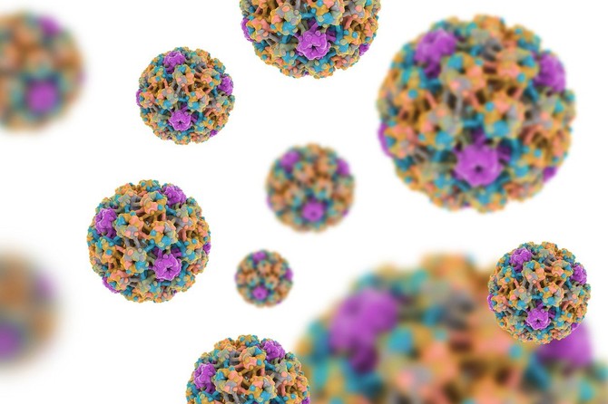 Ima ogroman broj vrsta HPV virusa, nisu sve vrste maligne i mogu da izazovu pojavu genitalnih bradavica