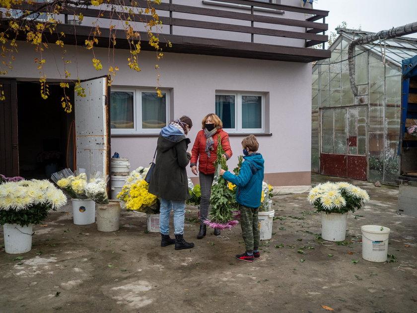 Został z tysiącami chryzantem