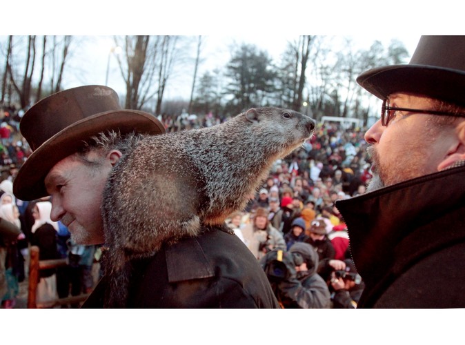 Świstak Phil przepowiada wczesną wiosnę