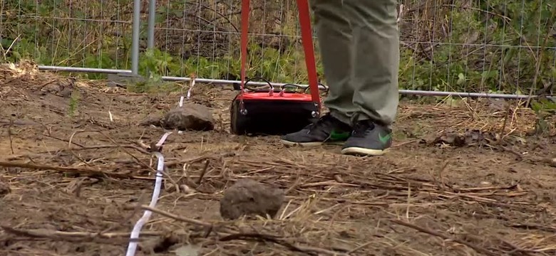 Drugi dzień poszukiwań "złotego pociągu". Planowany jest przekop nasypu kolejowego