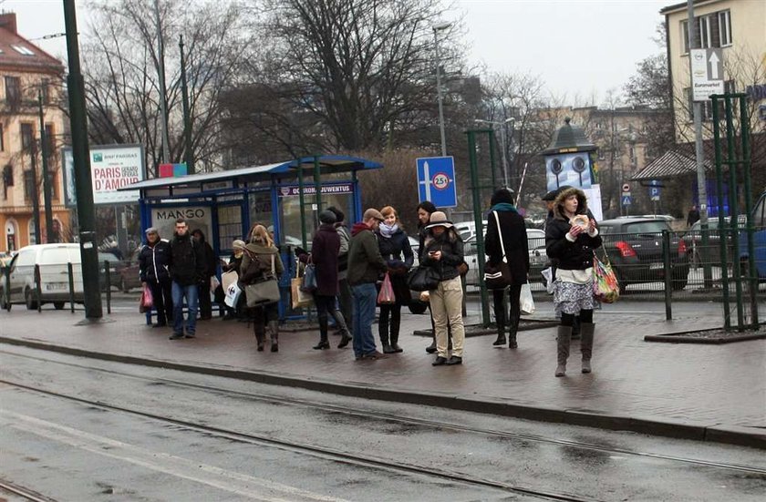 Oto bubel za 7 milionów