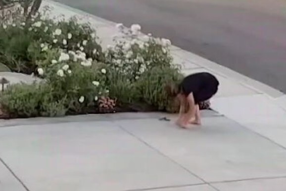 (VIDEO) OTROVNA ZMIJA UJELA ŽENU DOK JE OREZIVALA RUŽE! Nadzorna kamera snimila jeziv trenutak: Otrov počeo da se širi za samo 30 sekundi, a onda je usledio NAJVEĆI KOŠMAR
