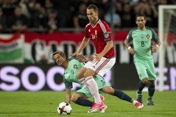 Były reprezentant Węgier nowym piłkarzem Warty Poznań