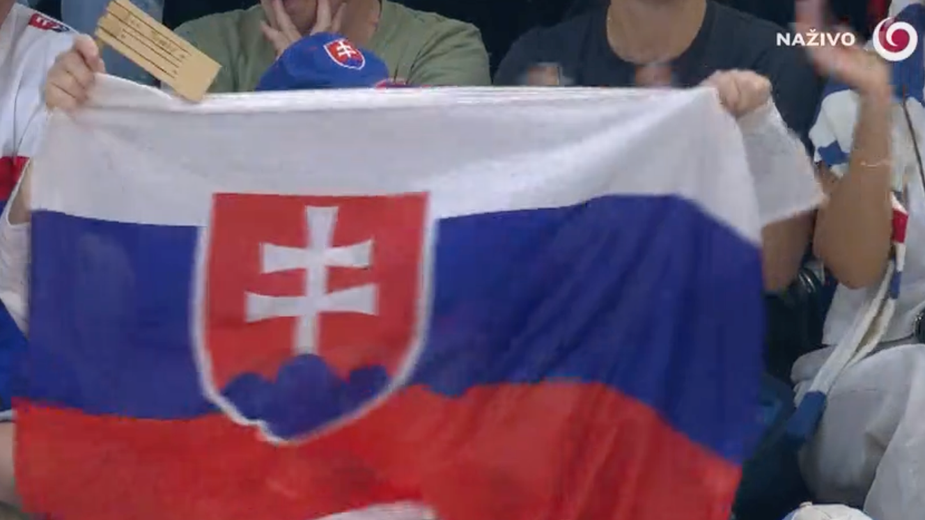 Jeden zo slovenských fanúšikov zaspal na zápase Slovensko - Kanada. 