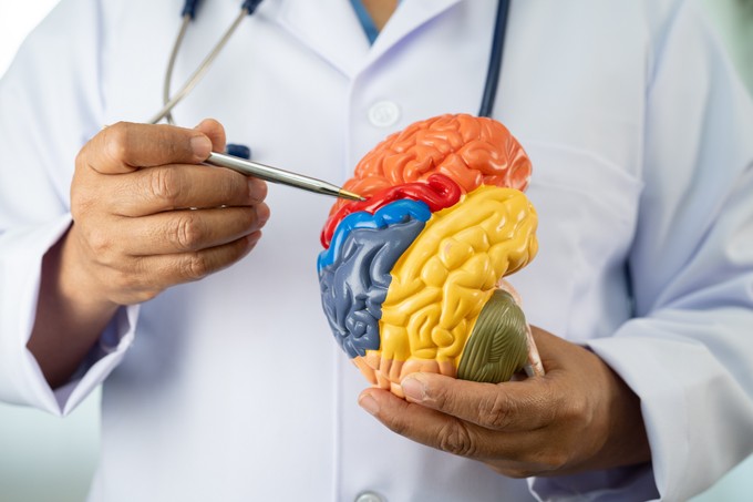 Alzheimer-kór kialakulása: kiderült, hogy nagyban okolható érte a stressz