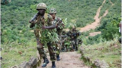 Gov Zulum wants Army to establish military base in Sambisa forest