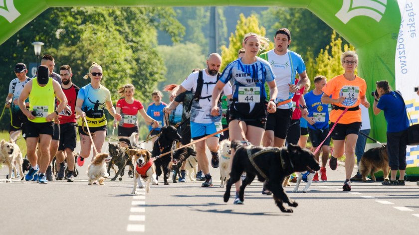 Psi Maraton po raz pierwszy zorganizowano w Parku Śląskim