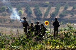 Izrael bombarduje Strefę Gazy. Konflikt pochłonął ponad 300 ofiar