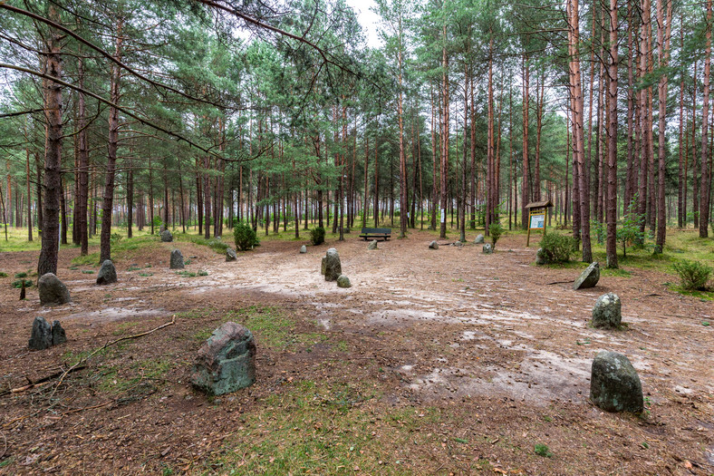 Polskie Stonehenge - zagadkowe kamienne kręgi w Węsiorach