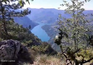 Evo koliko koštaju jesenji aranžmani na Tari 