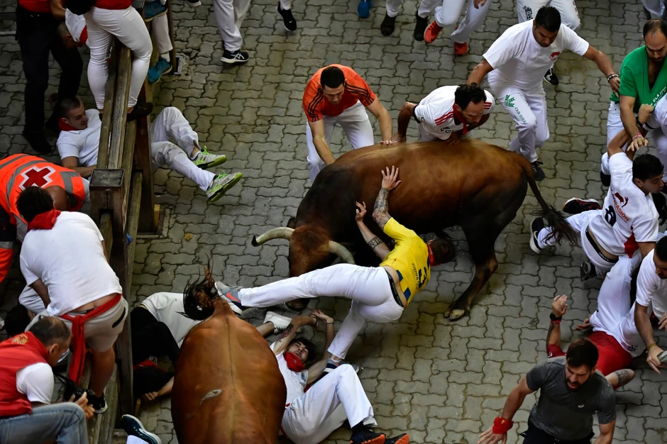 Trka bikova, Pamplona