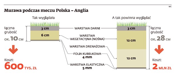 Murawa podczas meczu Polska - Anglia