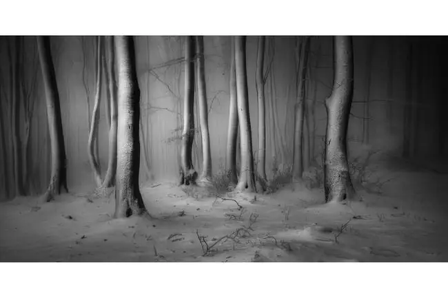 Veselin Atanasov (The Snow &amp; Ice)/International Landscape Photographer of the Year Awards 2019