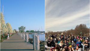 Burlington's Waterfront Park on a typical day (left) versus the day of the total solar eclipse (right).Barry Winiker/Getty Images / Ellyn Lapointe