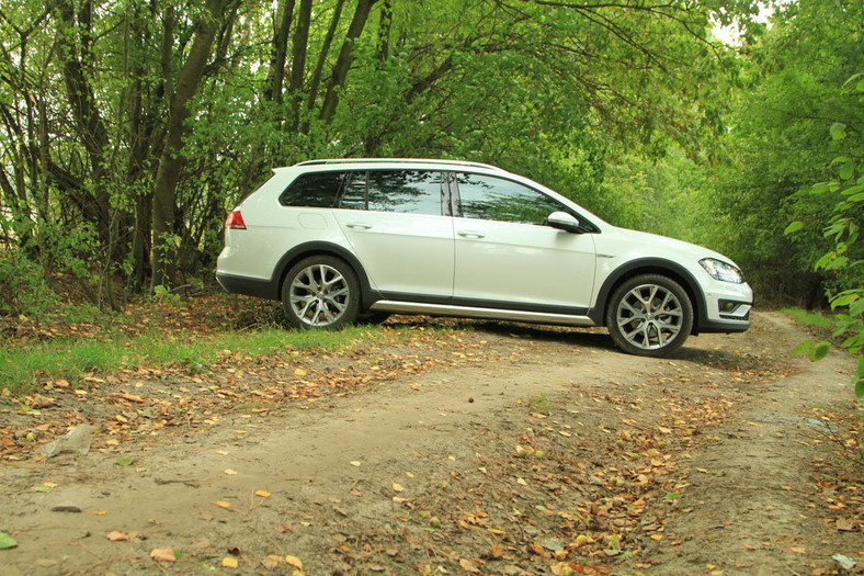 Volkswagen Golf Alltrack 2.0 TDI DSG stylizowany na