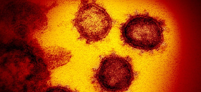 Były ambasador Iranu w Watykanie zmarł z powodu zakażenia koronawirusem