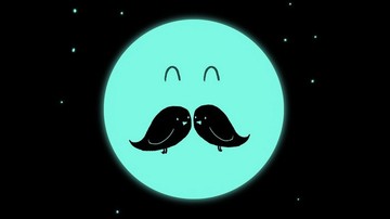 09a-face-two-birds-illusion 12102020 21619