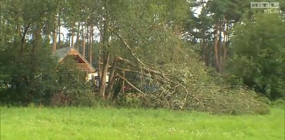 W drzewo uderzył piorun. Konar zawalił się na czteroosobową rodzinę