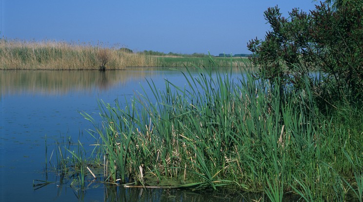 Tisza /Foto: AFP