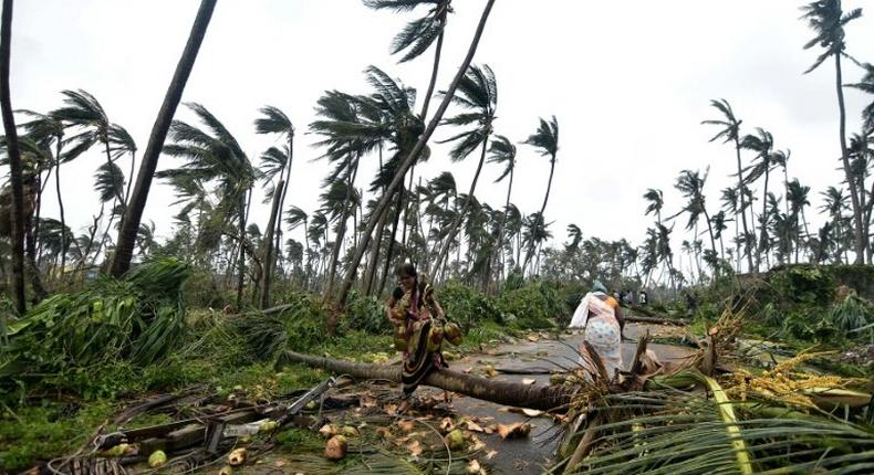 Indian women collect coconuts after heavy winds brought by Cyclone Titli, as humanitarians warned that the number of climate-related disasters around the world is growing rapidly