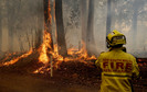 Australia walczy z pożarami