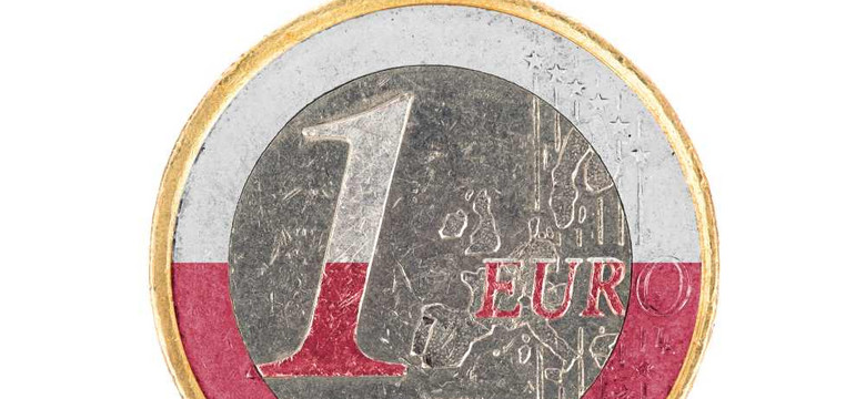 Prof. Krakowski: Euro to konieczność [OPINIA]