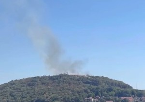 Požar na Straževici