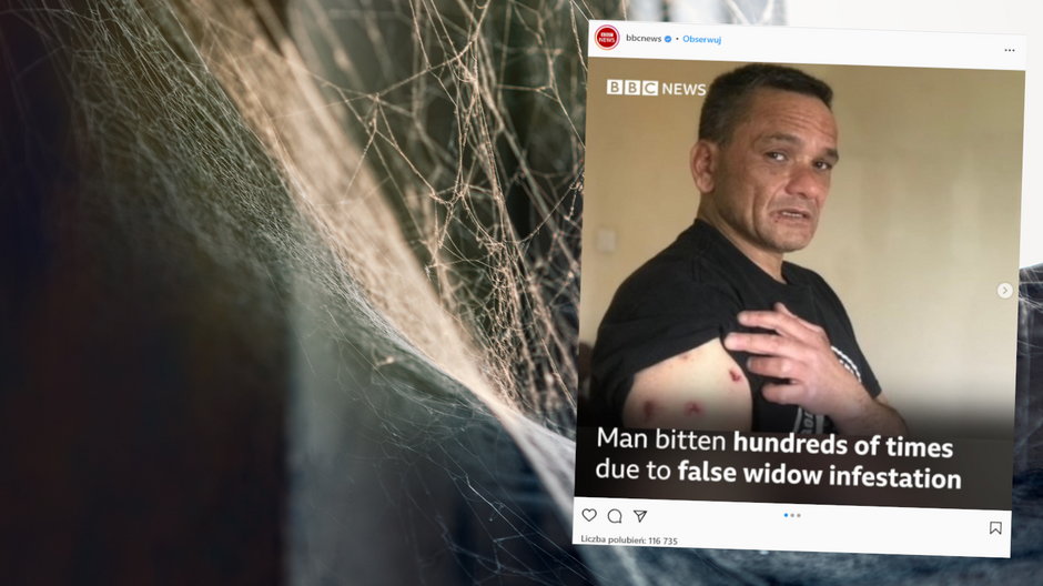 Russell Davies wciąż walczy z pająkami w mieszkaniu (fot. instagram.com/bbcnews)