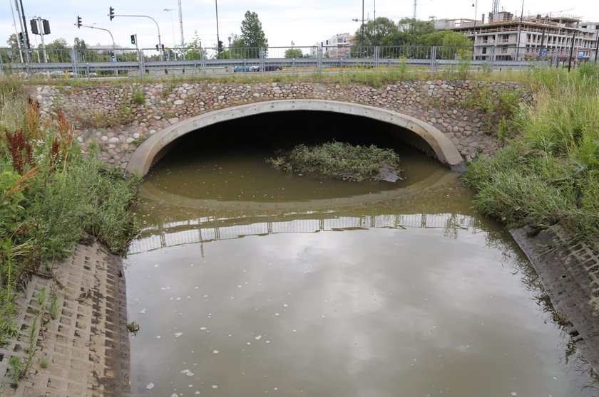 Straż Miejska szuka trucicieli potoku