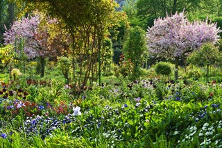 Jak budować, by nie zrujnować środowiska. Ochrona środowiska w zagospodarowaniu przestrzennym i przy realizacji inwestycji