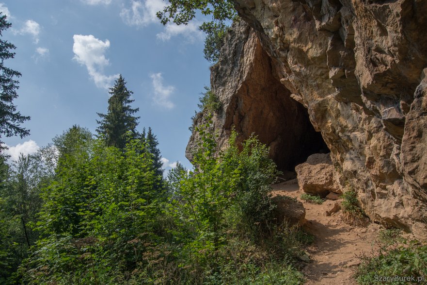 Skałka Obłazowa, sierpień 2022 r.