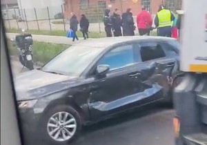 Sudar, Ada Ciganlija