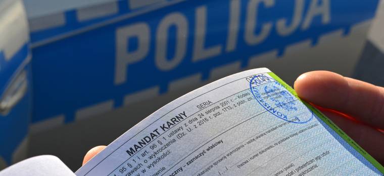 Policja podsumowała wakacje 2023. Wyższe mandaty działają?