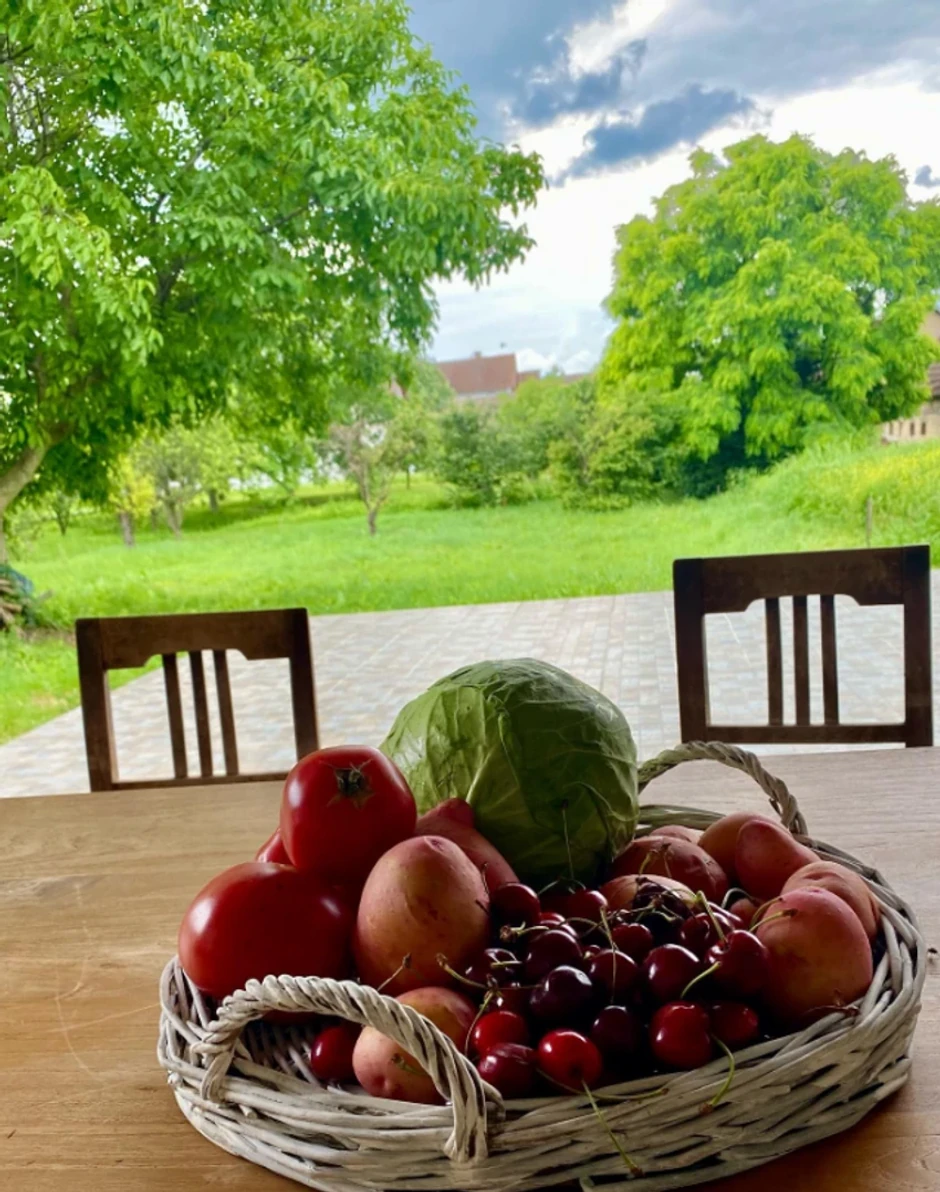 Dvorište Mirjane Memedović