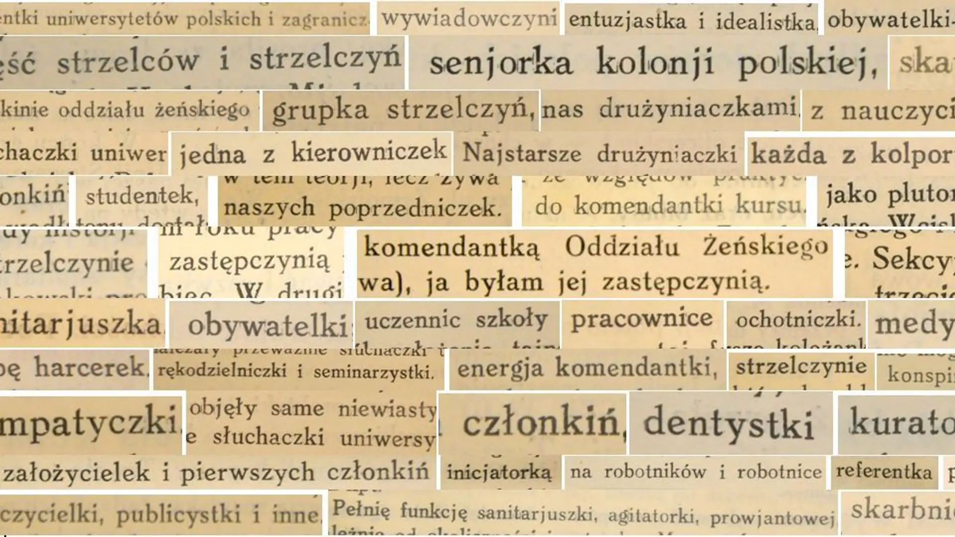 Warszawski ratusz promuje używanie feminiatywów w szkołach. Radny PiS oburzony