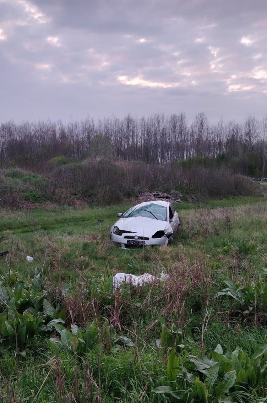 Nesreća kod Padinske skele