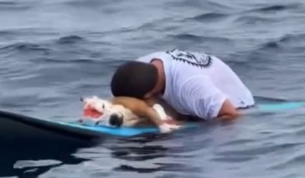 Surfer se oprašta od svog psa